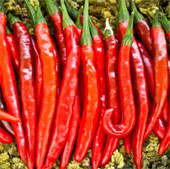 7 spices to detoxify the body