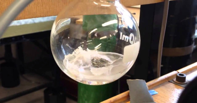 7 super interesting scientific knowledge that we missed while at school