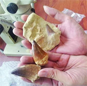 70 million year fossils in mail from the United States