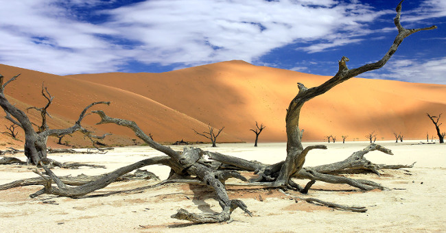 8 false rumors that everyone believes in Africa