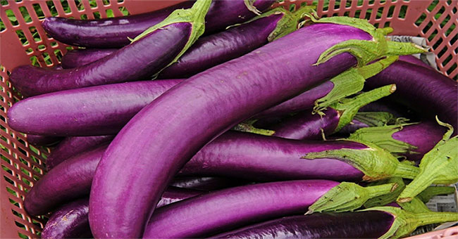8 foods help kill cancer cells
