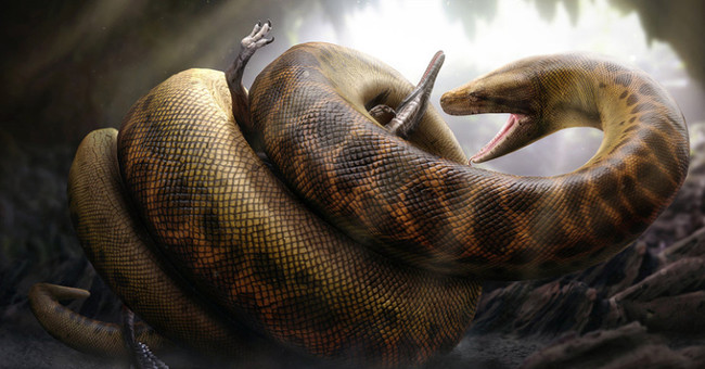 8 'monsters' we should thank heaven and earth for their disappearance