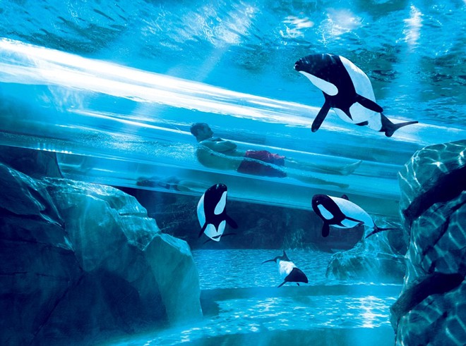 8 most exciting chutes in the world