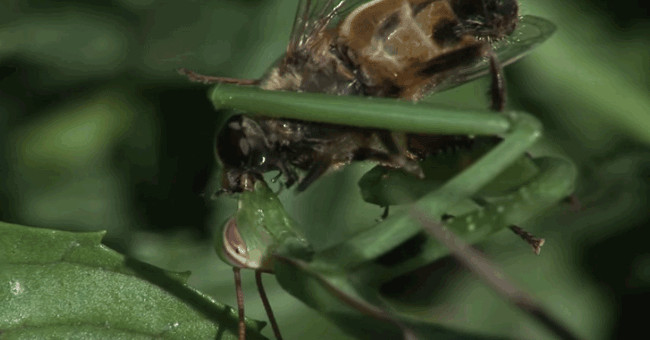 8 photos of the scary nature of you make you