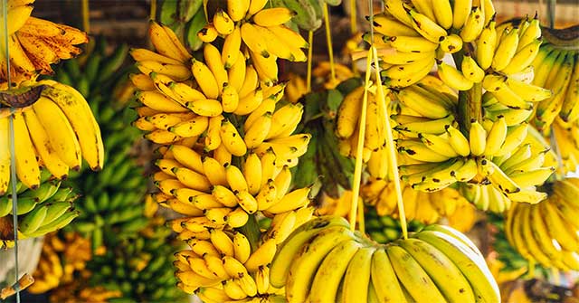 8 reasons you should eat bananas every day