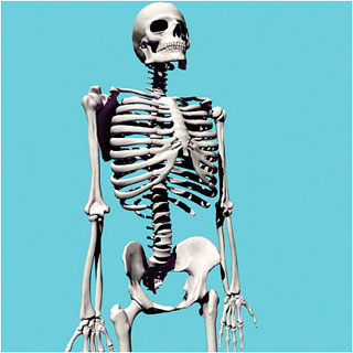 8 secrets of the body