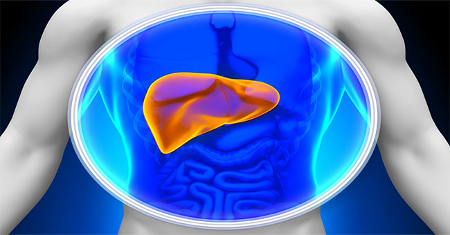 8 ways to reduce liver enzymes simply can be done