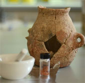 8,000 year old olive oil