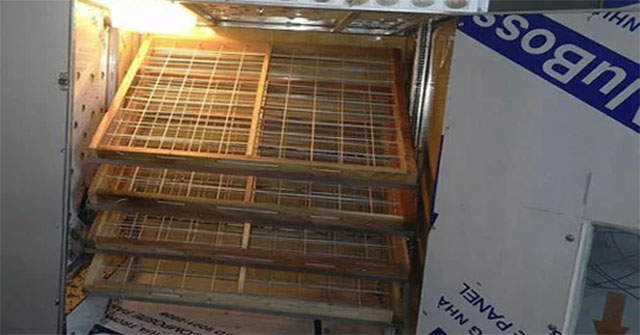 8X farmer produces an incubator with 98% hatching rate