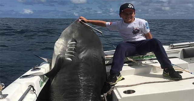 8-year-old boy caught a shark shark 'crisis' 314kg, breaking the world record for 22 years