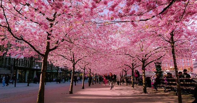 9 beautiful paths of love in the world
