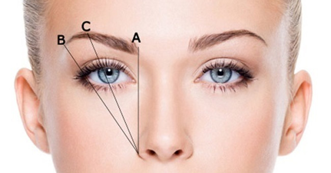 9 interesting discoveries about eyebrows