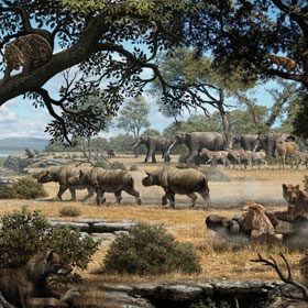 9 million years ago, bear dogs and cats used to live together