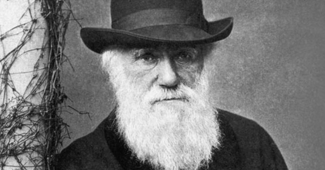 9 reasons Darwin's theory of evolution is wrong