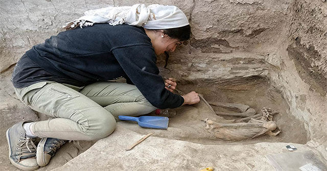 9,000-year-old remains reveal the collapse of the old city