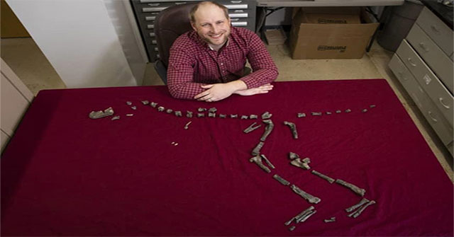 92 million year fossils from the tiny relative of the tyrant dinosaur