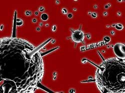 94% of Vietnamese computers are infected with the virus