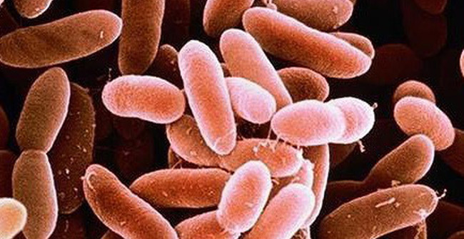 95% of newborns die if they get this disease, and their mothers need attention