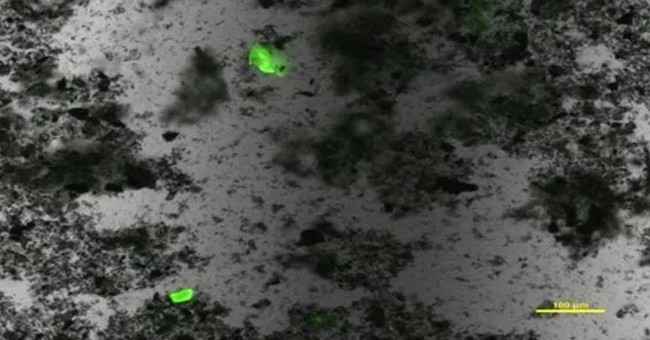 99% of invisible plastic spraying in oceans will be found by ... dyes