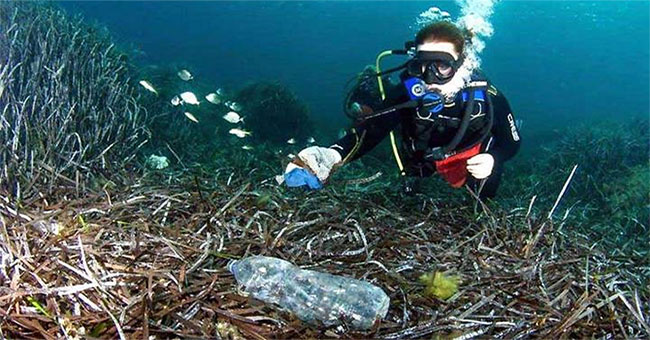 99.99% of plastic garbage on the sea turned out to be deep in the ocean without us knowing