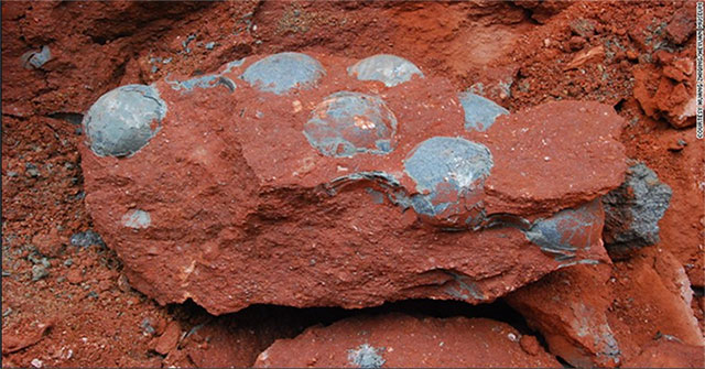 9-year-old boy found fossil dinosaur eggs 66 million years
