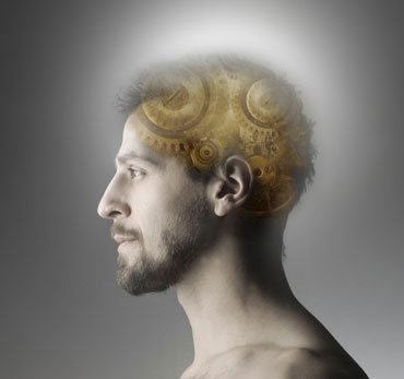 A cell can aging the brain