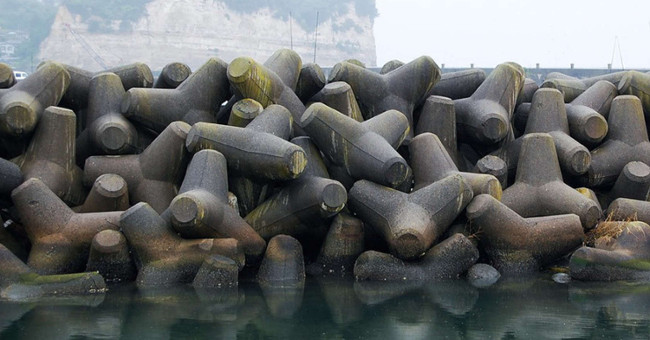 A designer has found a way to turn a wave breaker into a mangrove forest
