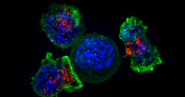 A drug for children can help treat cancer effectively