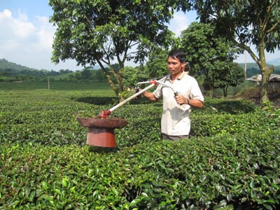 A farmer makes his own deep suction machine in tea