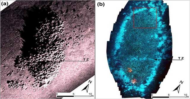 A giant 2,000-year-old 'ghost ship' comes to life with sound waves