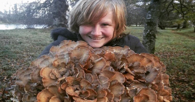 A half-meter diameter truffles in Scottish forests