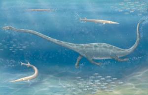 A long-necked predator in the sea