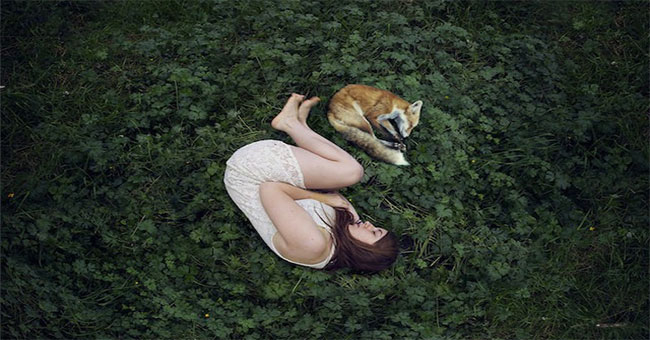 A medicine that will help you triple your Lucid dream experience