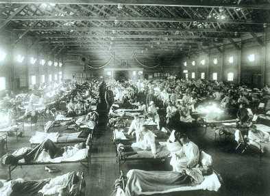 A new flu pandemic will kill 81 million people around the world?