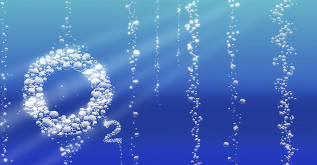 A new theory about the Earth - when life begins