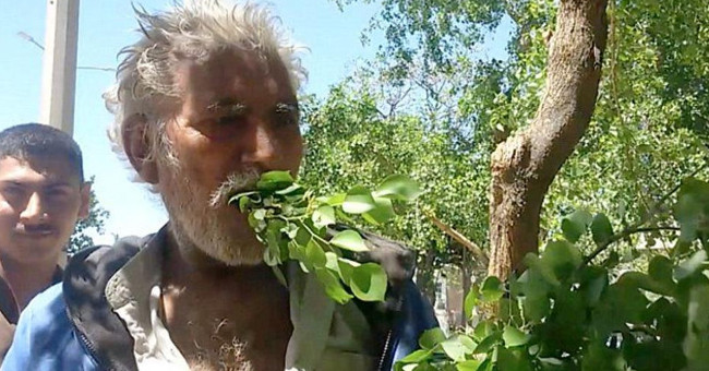 A Pakistani person eats leaves to live for 25 years, never getting sick