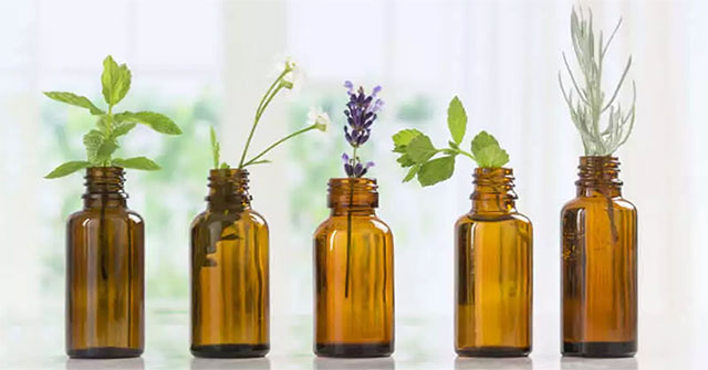 A plant compound helps heal wounds