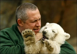 A polar bear was born at Berlin Zoo