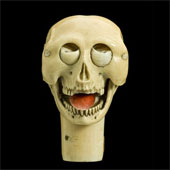 A variety of gruesome to sexy magnetic anatomical models of the past