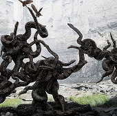 A variety of images in the environmental disaster