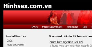 A website with the domain name .vn contains sex content