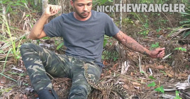 Accidentally sitting right next to the snake drama poison, this guy how to escape?
