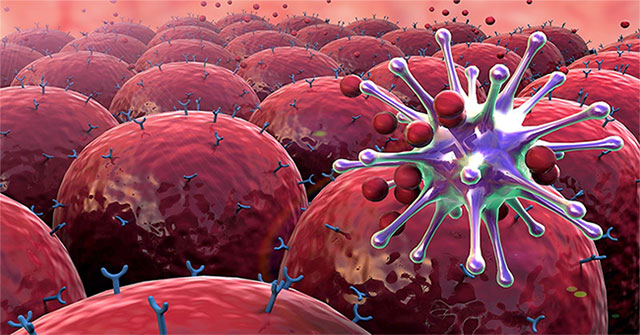 Activating NK cells to increase the natural immune system for cancer patients