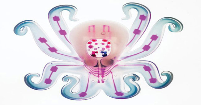 Active plastic silicone robot without batteries