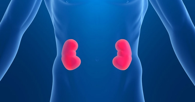 Acute glomerulonephritis: Symptoms, causes and prevention