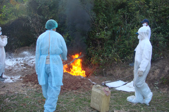 ADB helps Vietnam control infectious diseases