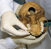 Add new findings from ancient Egyptian mummies