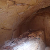 Additional discoveries