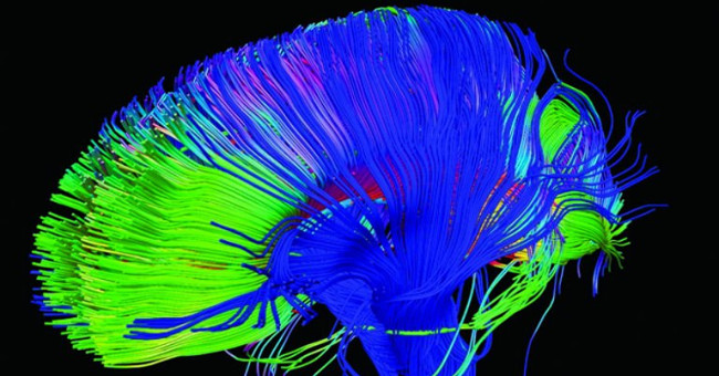 'Adjust the brain' to treat chronic pain
