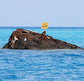 Admire the graveyard of the shipwreck in the Bermuda triangle